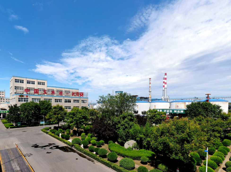 這些屬于長(zhǎng)壽花的關(guān)鍵詞標(biāo)簽，你了解嗎