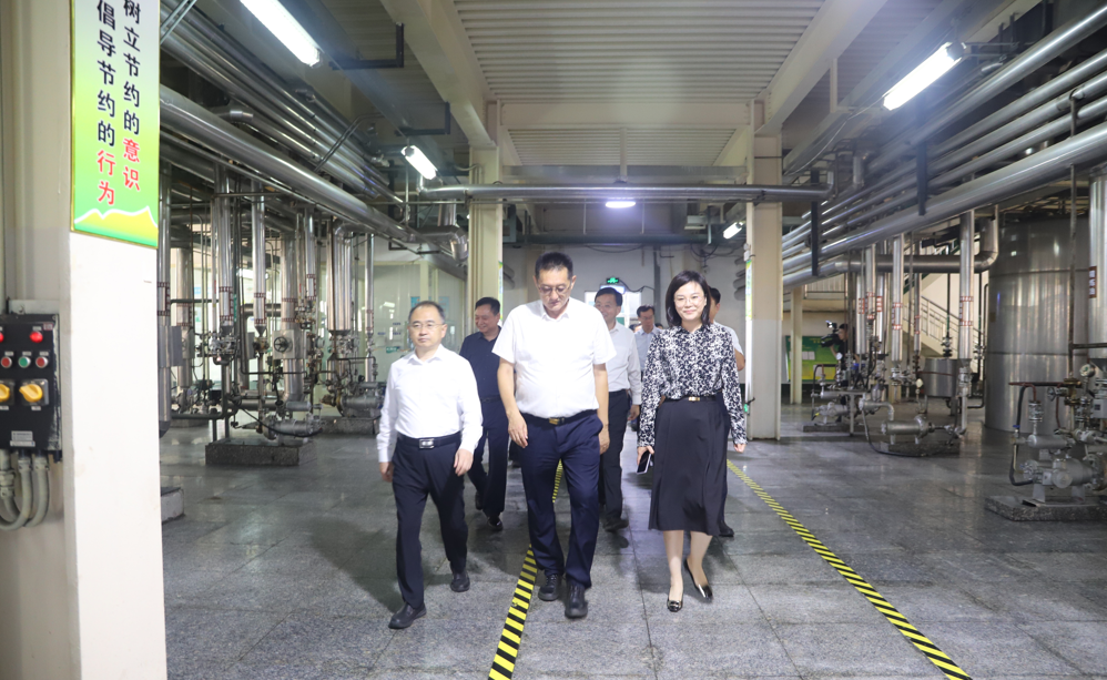 山東省政協(xié)黨組成員、副主席張新文來(lái)山東三星集團(tuán)調(diào)研