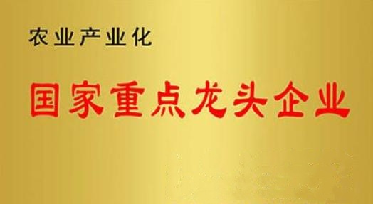 國(guó)家重點(diǎn)龍頭企業(yè)！山東三星集團(tuán)連續(xù)上榜